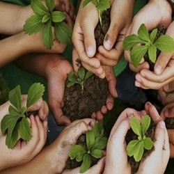 همیار طبیعت**21784**نفر