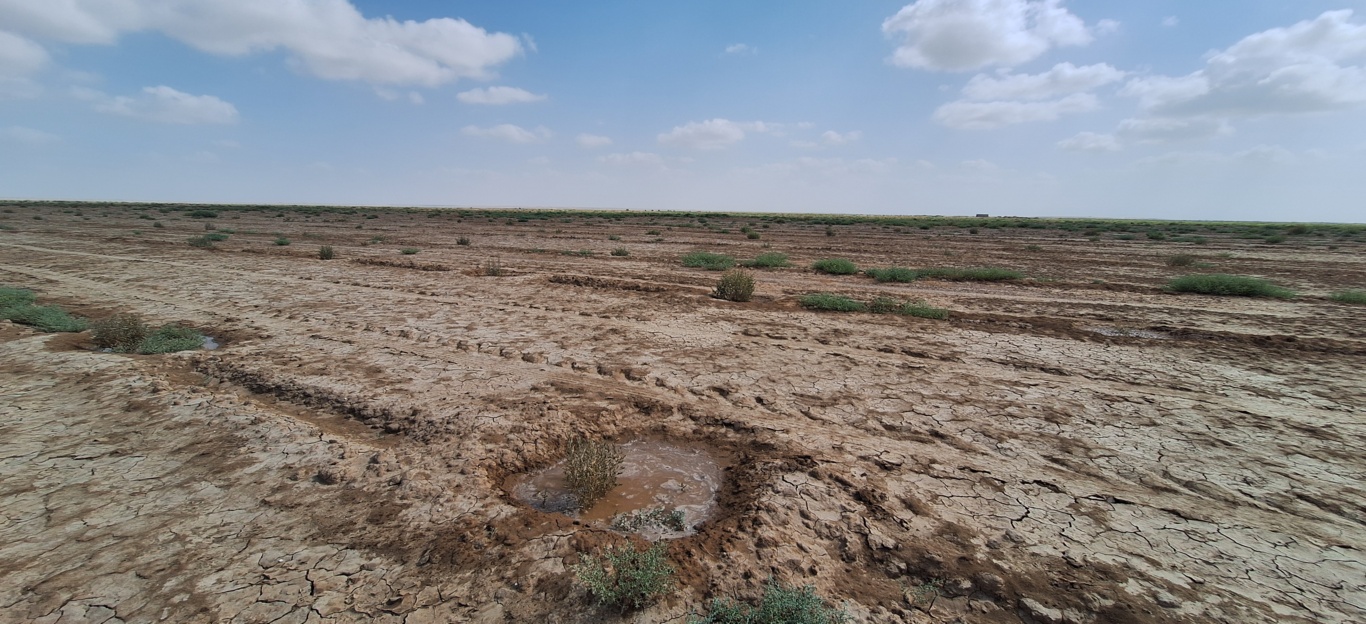 اقدامات مقابله با بیابانزایی