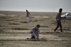 عکس‌های مرتع