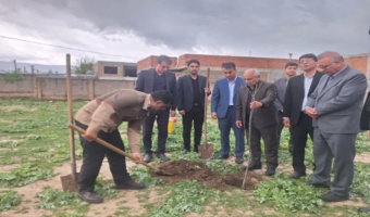 پویش کاشت نهال امید در ورزشگاه شهید آسیابی روستای کوسه کلاله برگزار شد