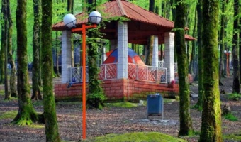 تعیین‌تکلیف پارک جنگلی کردکوی با ورود دادستانی