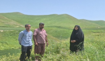 دامدار کلاله ای ۱۰۰ هکتار در مراتع شهرستان کپه کاری کرد.