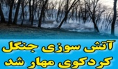 سرپرست اداره منابع طبیعی و آبخیزداری شهرستان کردکوی از مهار آتش سوزی جنگل کردکوی خبر داد.