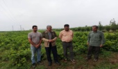 بازدید رئیس و مسئول جنگلکاری و روابط عمومی از نهالستان های سطح شهرستان رامیان