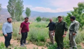 خلع و ید اراضی تصرفی به مساحت 2140 متر مربع در اراضی روستای خوش ییلاق