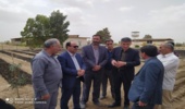 مجری طرح مردمی کاشت یک میلیارد درخت از روند تولید نهال در چپرقویمه گنبدکاووس بازدید کرد