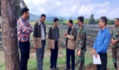 بازدید معاون عمرانی استانداری گلستان از نهالستان قرق 