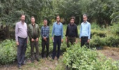 کارشناسان ستاد ملی طرح مردمی کاشت یک میلیارد درخت از نهالستان های گلستان بازدید کردند