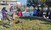 کاشت نهال در مدارس شهرستان رامیان