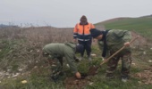  گزارش تصویری:کاشت نهال با همکاری راه و ترابری جاده ای در مراوه تپه