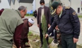 مراسم نهال کاری در باشگاه ورزشی شموشک کردکوی برگزار شد