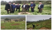 بازدید مدیرکل منابع طبیعی و آبخیزداری گلستان از عرصه یکصد هکتاری قربان دره مراوه تپه 