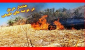 هشدار سازمان منابع طبیعی نسبت به احتمال وقوع آتش سوزی در عرصه های طبیعی ناشی از سوزاندن کاه و کلش مزارع