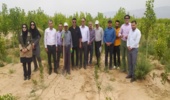 کارشناسان جنگلکاری گلستان از طرح های زراعت چوب و نهالستان های خراسان شمالی بازدید کردند
