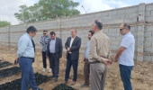 بازدید مدیرکل دفتر امور مراتع سازمان منابع طبیعی و آبخیزداری کشور از روند تولید نهال مرتعی آق قلا