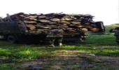 کشف وضبط ۱۰ تن چوب آلات  جنگلی قاچاق در شهرستان کردکوی 