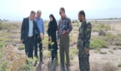 بازدید کارگروه ارزیابی طرح یک میلیارد درخت از بوستان ۴۰۰۰ شهید و زراعت چوب روستای سیدلر