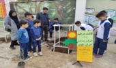 کارگاه آموزشی کاشت نهال در دبستان پسرانه شاهد شهرستان مینودشت  