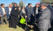 پویش نهالکاری در سایه مادر در گنبدکاووس برگزار شد
