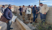 کاشت نهال با یاد سردار دلها