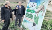 غرس ۱۰۰اصله نهال در پویش سراسری درختکاری به نام پدر در محوطه شبکه بهداشت و درمان گالیکش
