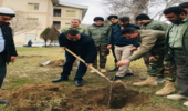 معاون سیاسی،امنیتی و اجتماعی استانداری گلستان در فراغی مراوه تپه نهال کاشت 