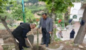 پویش «سرو ایران» در گرگان؛ غرس ۱۰ اصله نهال به یاد شهدا در جوار مزار شهدای روستای زیارت