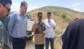 برگزاری تور رسانه‌ای بازدید از جنگل‌کاری‌های مشارکتی و تبیین طرح جنگلداری نوین در گلستان