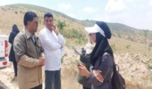 کاشت بیش از 6 میلیون اصله نهال در گلستان
