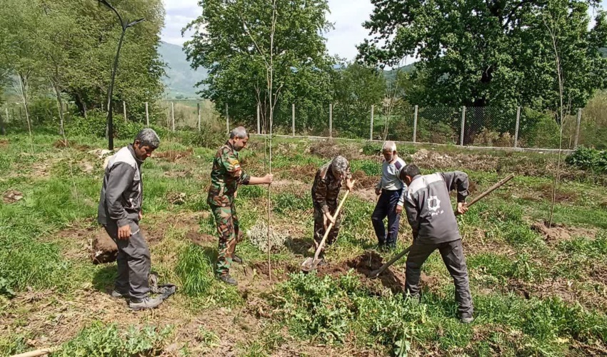 توسعه فضای سبز در تفرجگاه تقارلی؛ کاشت نهال با حضور مسئولین و کارکنان شهرداری صادق‌آباد گالیکش