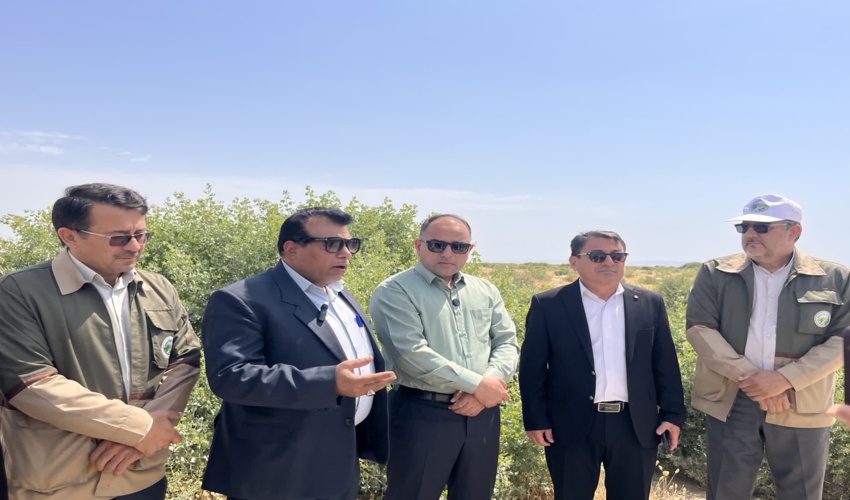 نماینده گنبد کاووس: شاهد تلاش های ارزنده منابع طبیعی در اقدامات اصلاح و احیاء مراتع در گنبدکاووس هستم