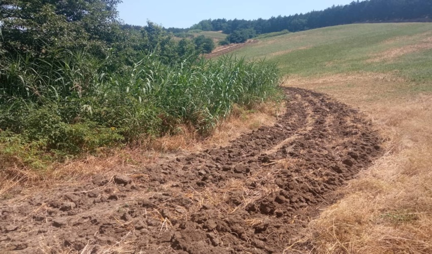 طرح آتش‌ بُر در  629کیلومتر از نوار جنگلی گلستان اجرا شد