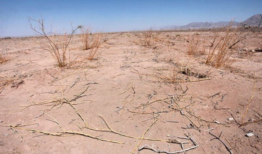 جدال گلستان با پدیده بیابانی‌ شدن، معضلی که باید جدی گرفت