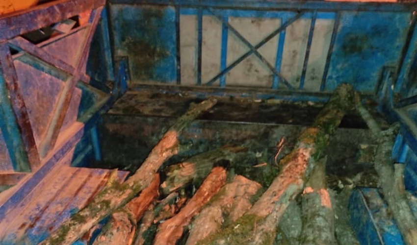 توقیف خودرو نیسان حامل هیزم غیر مجاز جنگلی در روستای نومل