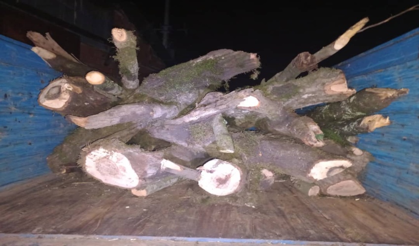 کشف و ضبط شبانه چوب آلات قاچاق جنگلی از کارگاه چوب بری روستای نوده ملک