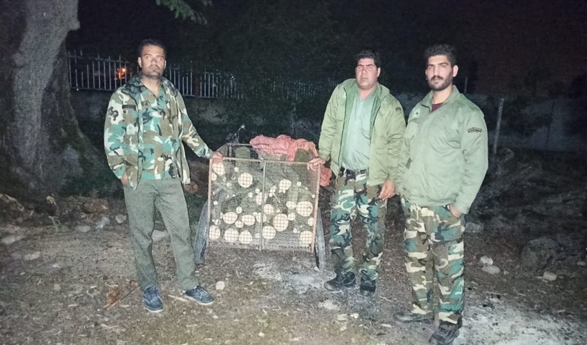 متخلف قطع درختان در شهرستان بندرگز دستگیر شد