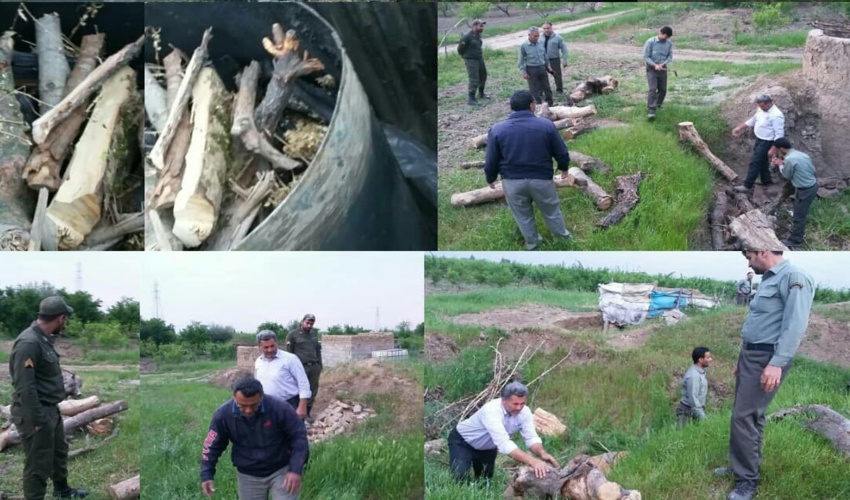 کشف و ضبط 2 باب کوره ذغال غیر مجاز و 3 استر چوب قاچاق جنگلی در شهرستان رامیان
