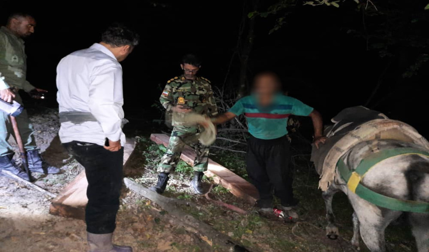 کشف و ضبط الوار در شهرستان کردکوی