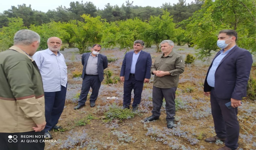 گزارش تصویری / تعیین تکلیف تصرقات اراضی ملی واقع در محدوده روستاهای شهرستان رامیان