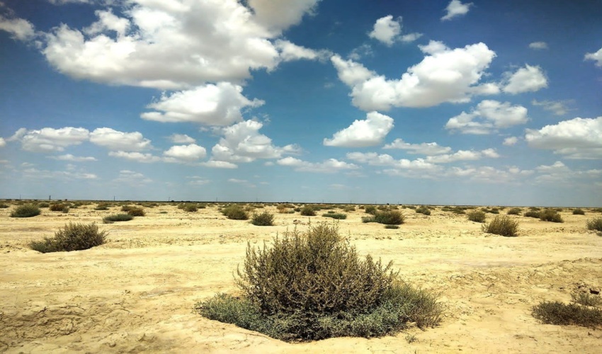 طراوت وشادابی در دامان طبیعت شهرستان گنبد کاووس با بارندگی های اخیر