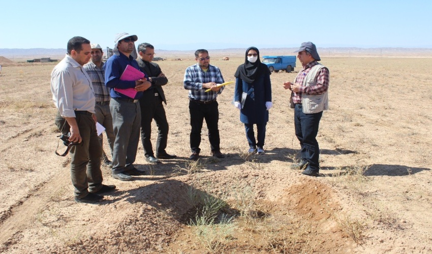 آغاز تولید بوته های مرتعی به منظور اجرای پروژهای مقابله با بیابان در شهرستان گنبد کاووس