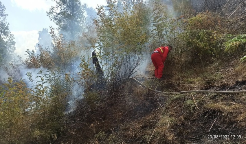 عملیات اطفا حریق در پارک زیتون ازادشهر