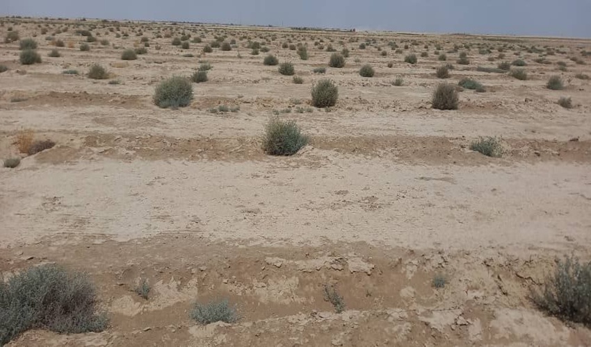 50 میلیارد ریال از اعتبارات سفر ریاست جمهوری جهت اجرای  پروژه های مراتع و بیابان  