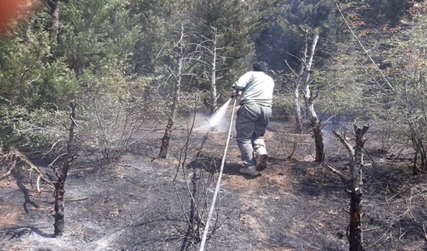 حریق در منطقه النگدره گرگان اطفاء شد .