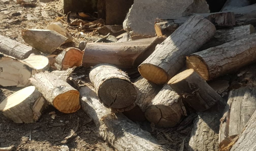 کشف و ضبط چوب آلات قاچاق در یکی از معادن شهرستان آزادشهر