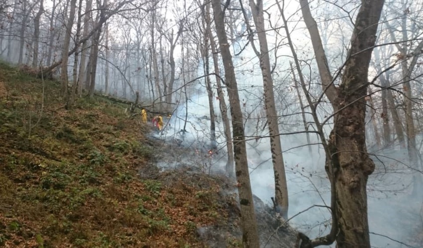 کاهش 85 درصدی حریق جنگلها و مراتع در استان گلستان/افزایش تماس های 1504 در سال جاری