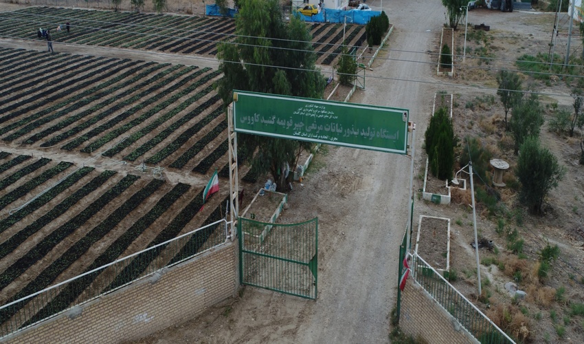 تقدیر از اتحادیه تعاونی مرتعداران گلستان در هفدهمین جشنواره تجلیل از تعاونی های برتر