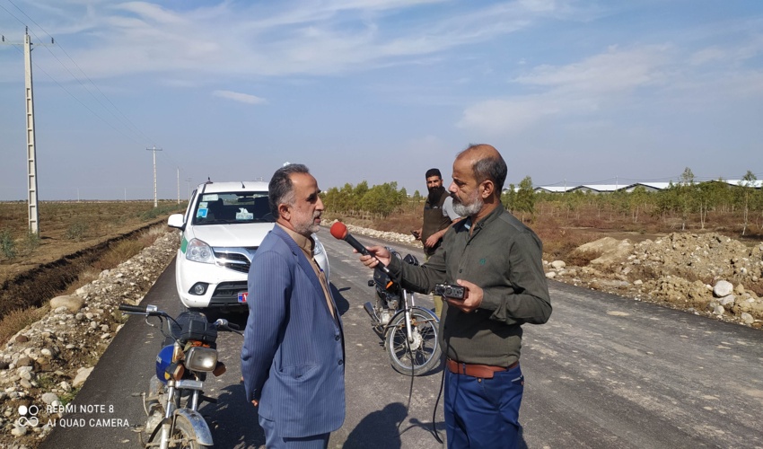 زراعت چوب با یک تیر چند نشان