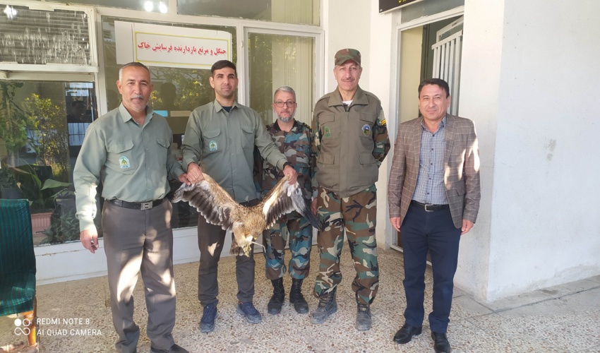 ماموران یگان حفاظت منابع طبیعی گنبدکاووس یک بهله عقاب را بعد از نجات از چنگال شکارچیان غیرمجاز و برای رهاسازی در دامن طبیعت، تحویل محیط زیست دادند.