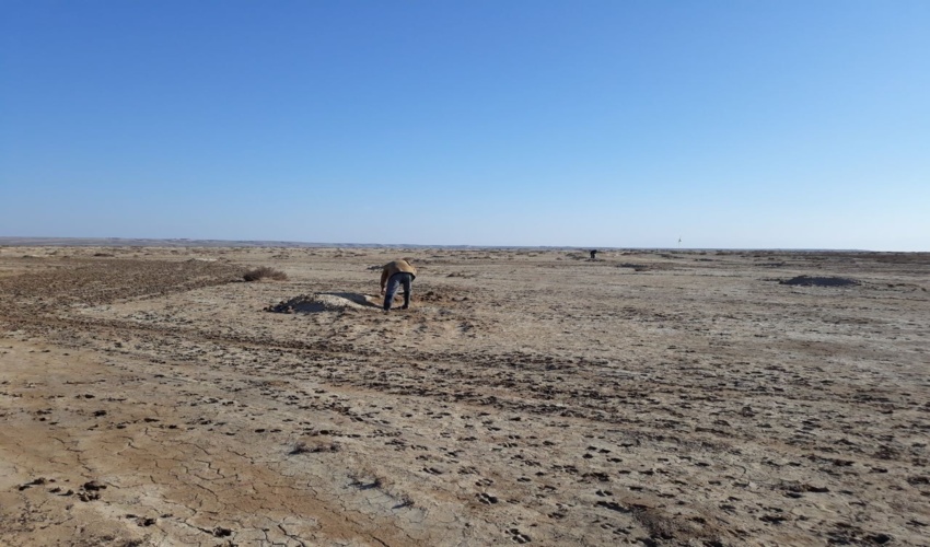 اجرای عملیات بذرپاشی مشارکتی در سطح ۱۳۰ هکتار از مراتع قره قر بزرگ شهرستان آق قلا